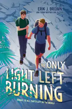 the only light left burning book cover image