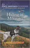 Hiding in Montana synopsis, comments