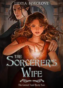 the sorcerer's wife book cover image