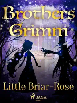 little briar-rose book cover image