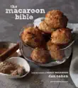 The Macaroon Bible synopsis, comments