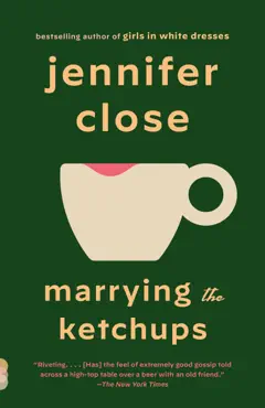 marrying the ketchups book cover image