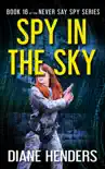 Spy in the Sky sinopsis y comentarios