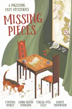 missing pieces book cover image