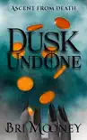 Dusk Undone synopsis, comments