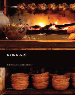 kokkari book cover image