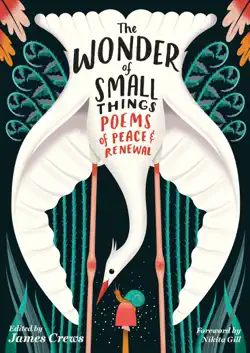 the wonder of small things book cover image