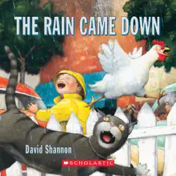 the rain came down book cover image
