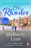 Mulberry Lane sinopsis y comentarios
