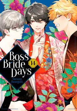 boss bride days volume 14 book cover image