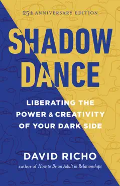 shadow dance book cover image