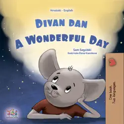 divan dan a wonderful day book cover image