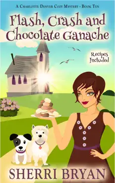 flash, crash and chocolate ganache book cover image