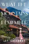 What the Mountains Remember synopsis, comments