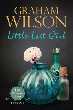 little lost girl book cover image