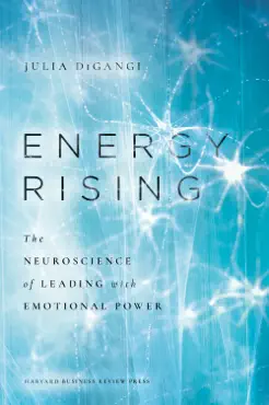 energy rising book cover image
