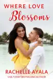 Where Love Blossoms synopsis, comments