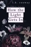 How the Light Gets In synopsis, comments
