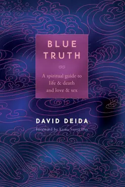 blue truth book cover image