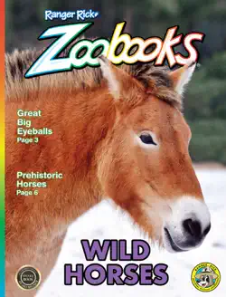 zoobookswildhorses book cover image