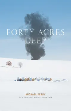 forty acres deep book cover image