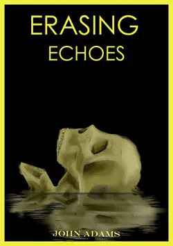 erasing echoes book cover image