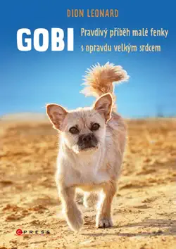 gobi book cover image