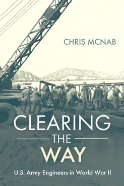 clearing the way book cover image