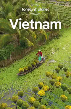 vietnam 16 book cover image