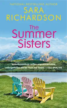 the summer sisters book cover image