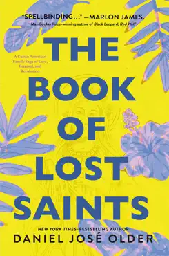 the book of lost saints book cover image