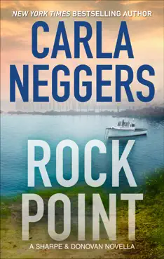 rock point book cover image