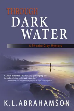 through dark water book cover image