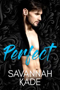 perfect: a steamy, second chance contemporary romance book cover image