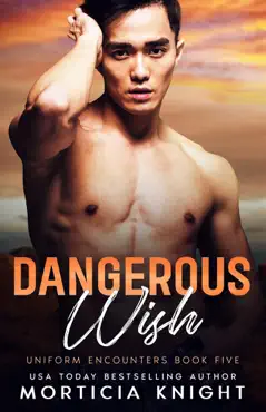 dangerous wish book cover image