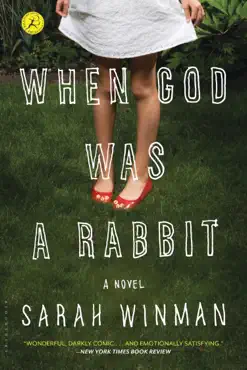 when god was a rabbit book cover image