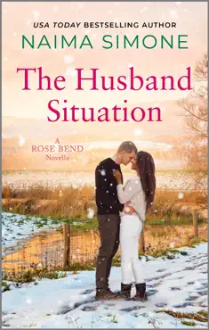 the husband situation book cover image