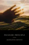 Pleasure Principle sinopsis y comentarios