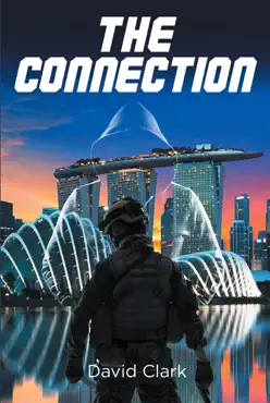 the connection book cover image