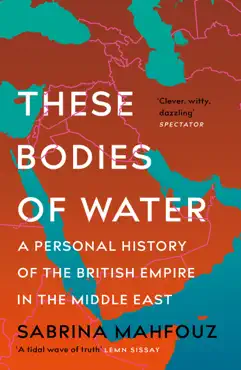 these bodies of water book cover image