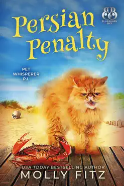persian penalty book cover image