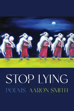 stop lying book cover image