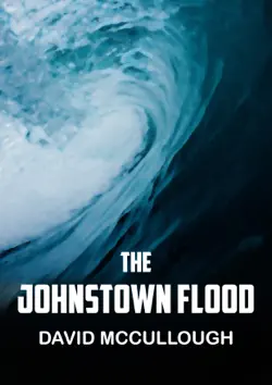 the johnstown flood book cover image