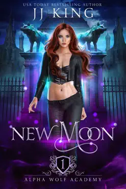 new moon book cover image