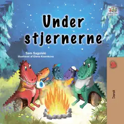under stjernerne book cover image