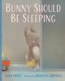 bunny should be sleeping book cover image
