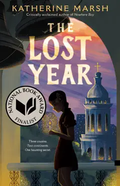 the lost year book cover image