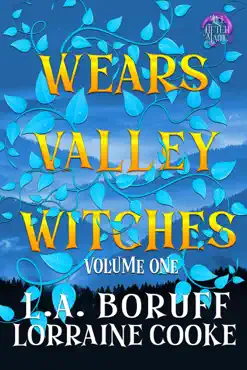 wears valley witches volume 1 book cover image