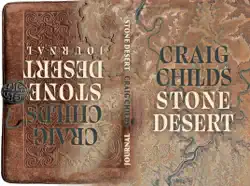 stone desert book cover image