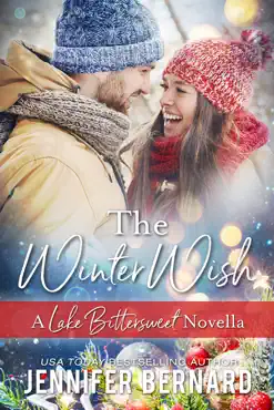 the winter wish book cover image